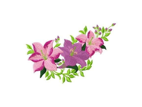 Cute Flower Pink: A Designer’s Review for Gifts