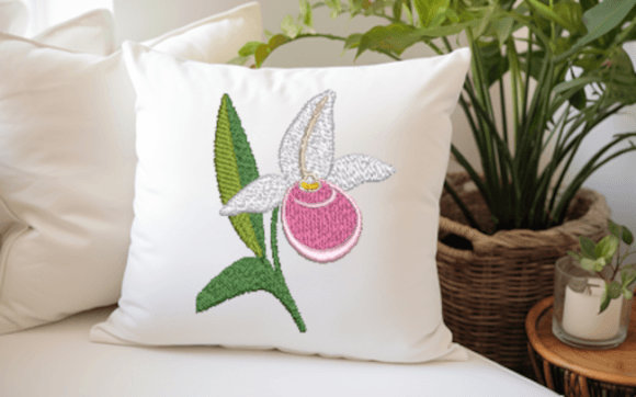 Lady Slipper Minnesota Orchid: A Designer’s Review