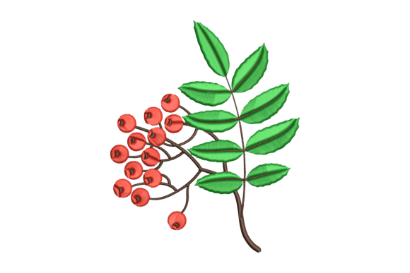 Plant Embroidery Design: A Professional Review