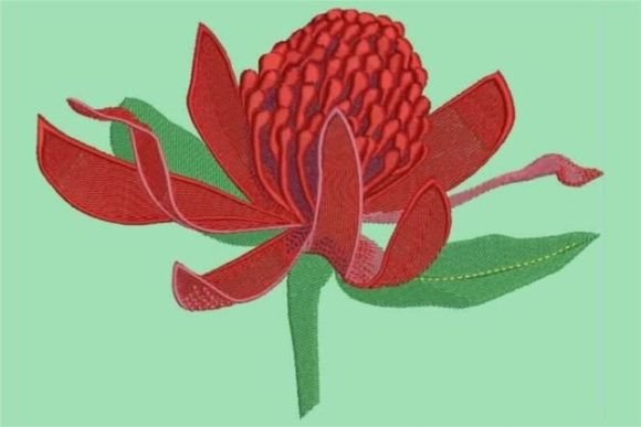 Waratah Embroidery Design for Etsy Sellers